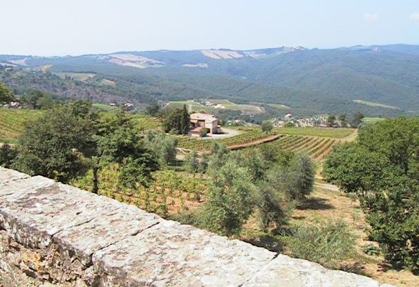 Podere Soccorso Montalcino Eksteriør billede