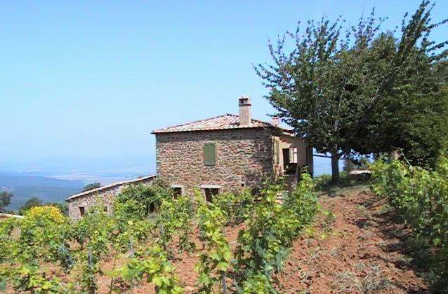 Podere Soccorso Montalcino Eksteriør billede